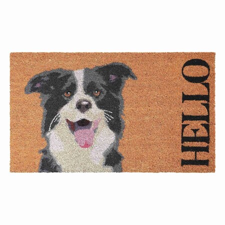 Calloway Mills Coir/Vinyl, 17 in x 29 in 109671729